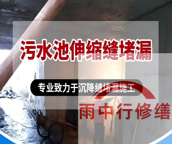 邯郸某污水处理厂钢筋混凝土池堵漏案例